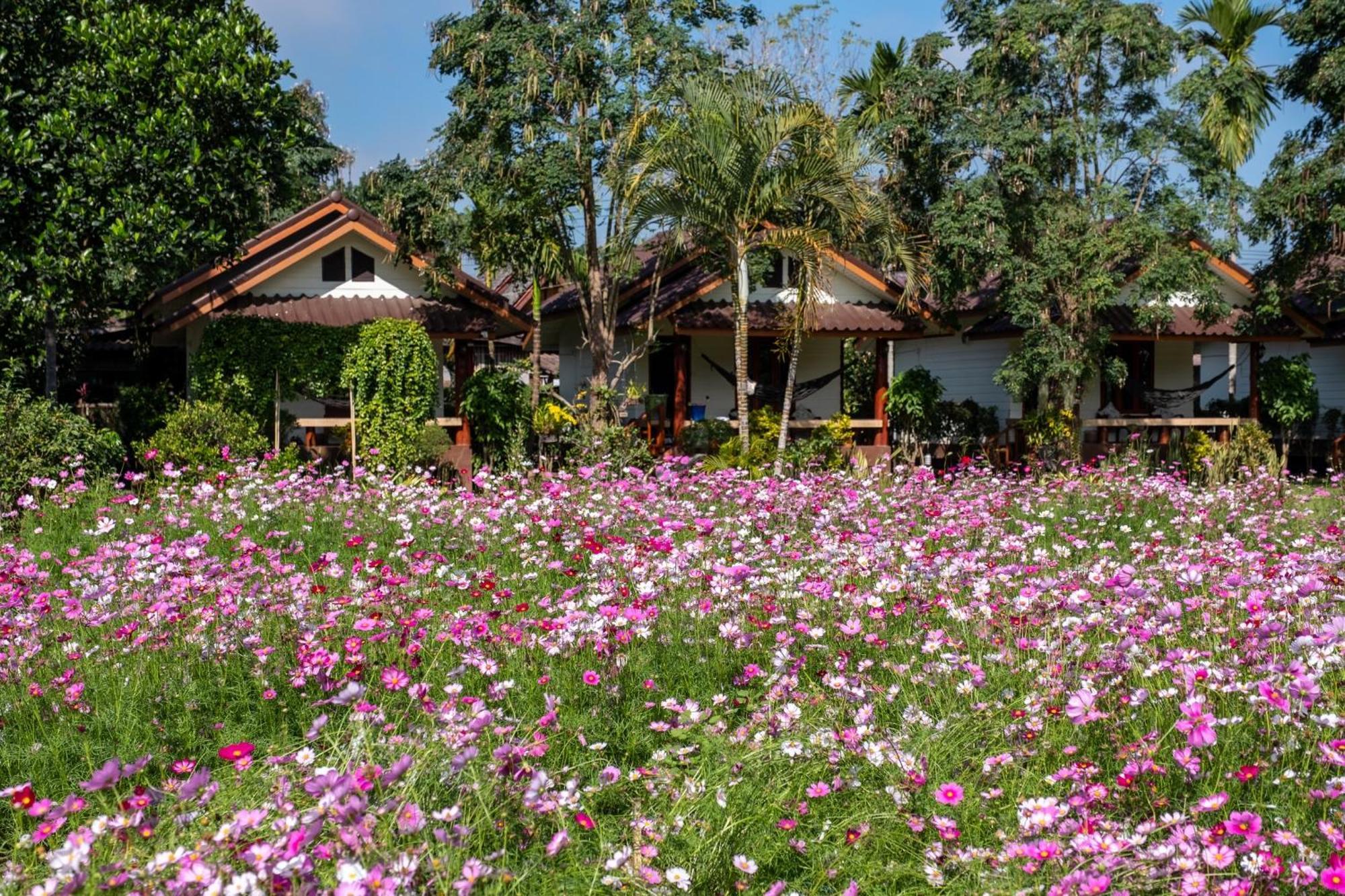 Hotel The Nest House Pai Exterior foto