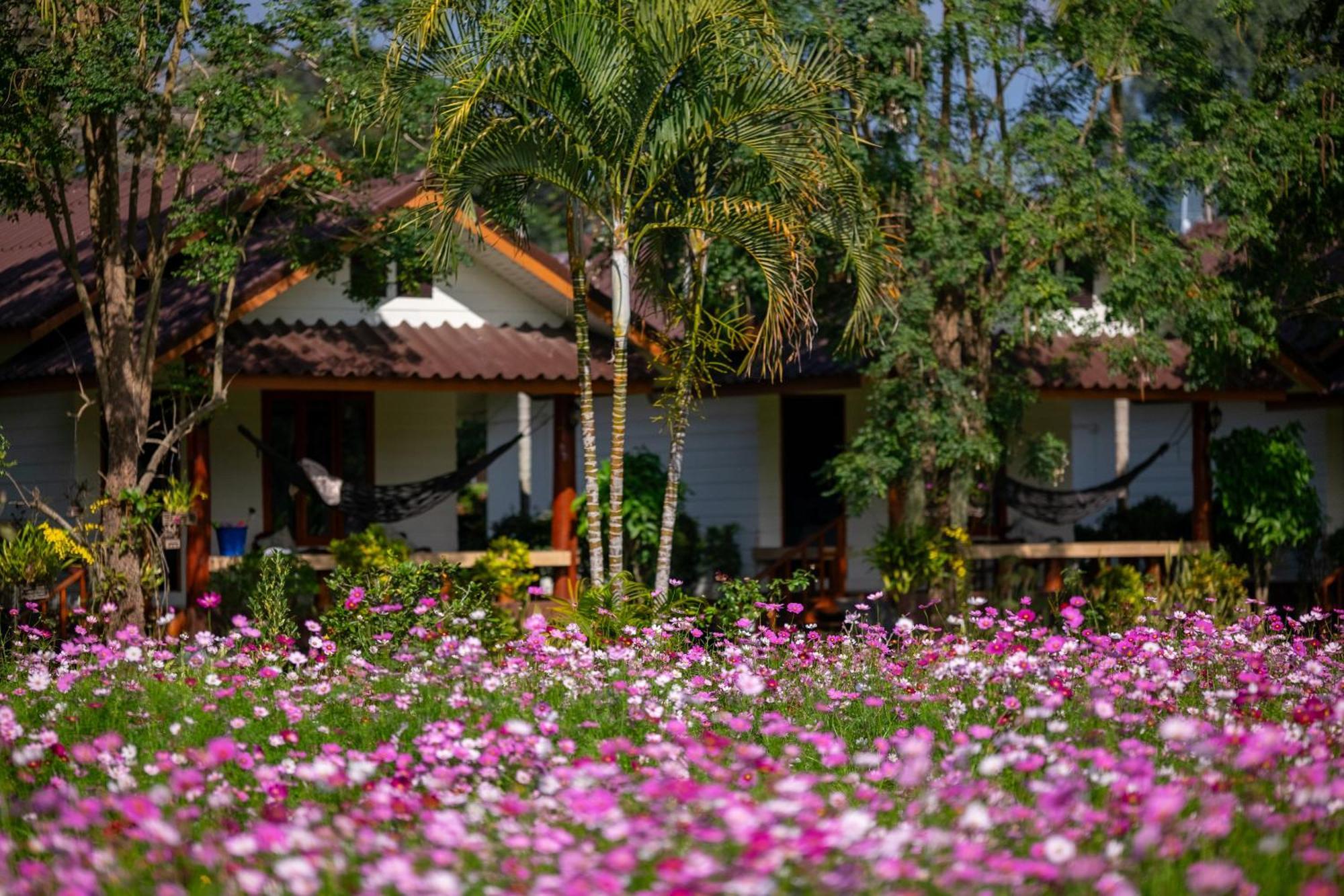 Hotel The Nest House Pai Exterior foto