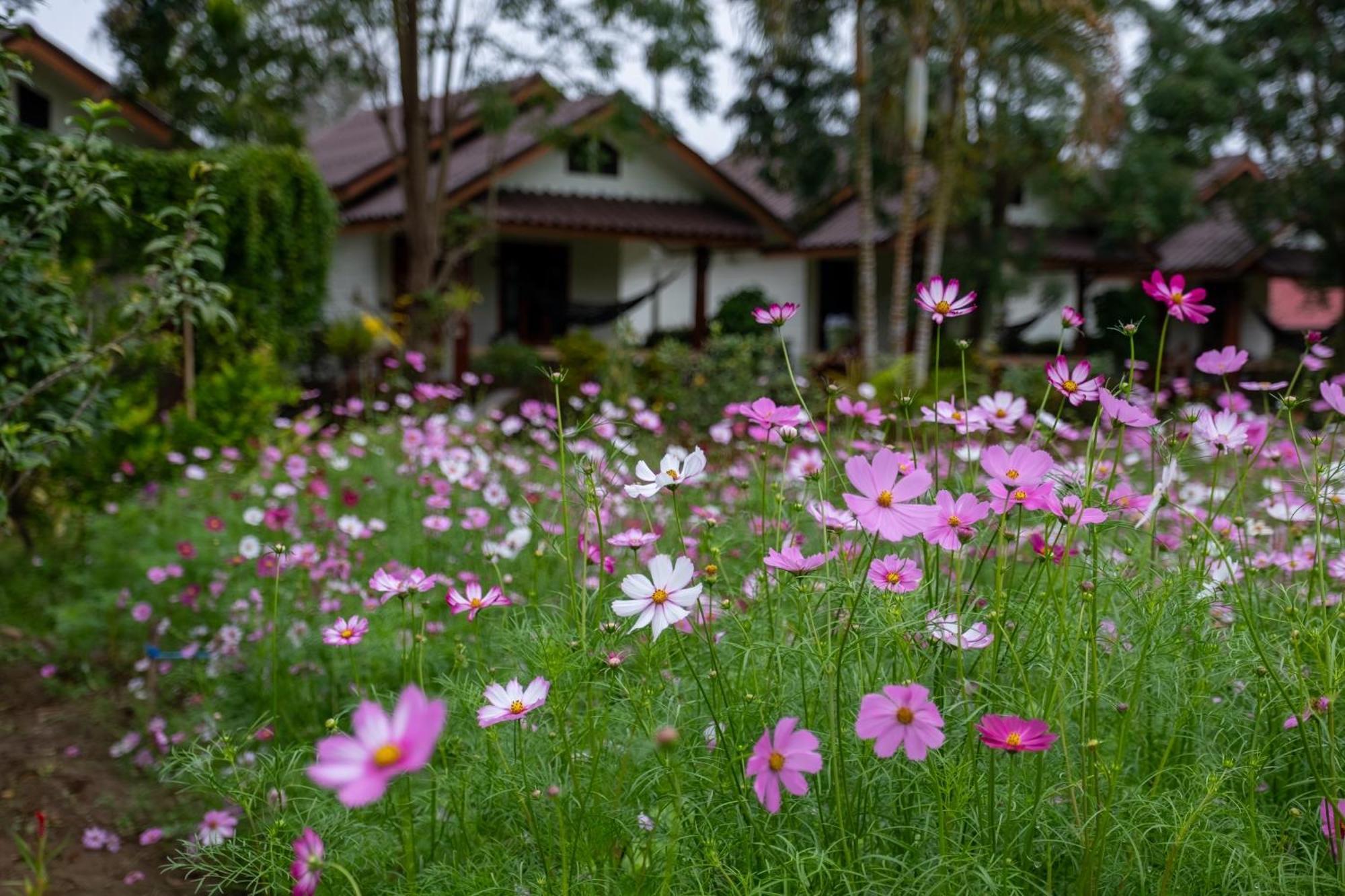 Hotel The Nest House Pai Exterior foto